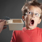 Überraschungsbox mit Spinne